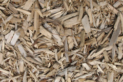 biomass boilers Culrigrein